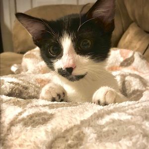 Meet your Posher, Jack